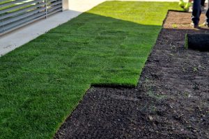 Choosing Synthetic Turf
