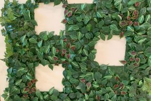 Professional Ivy Installation Services