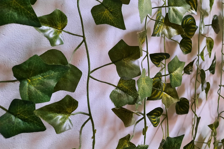 Synthetic Ivy Walls